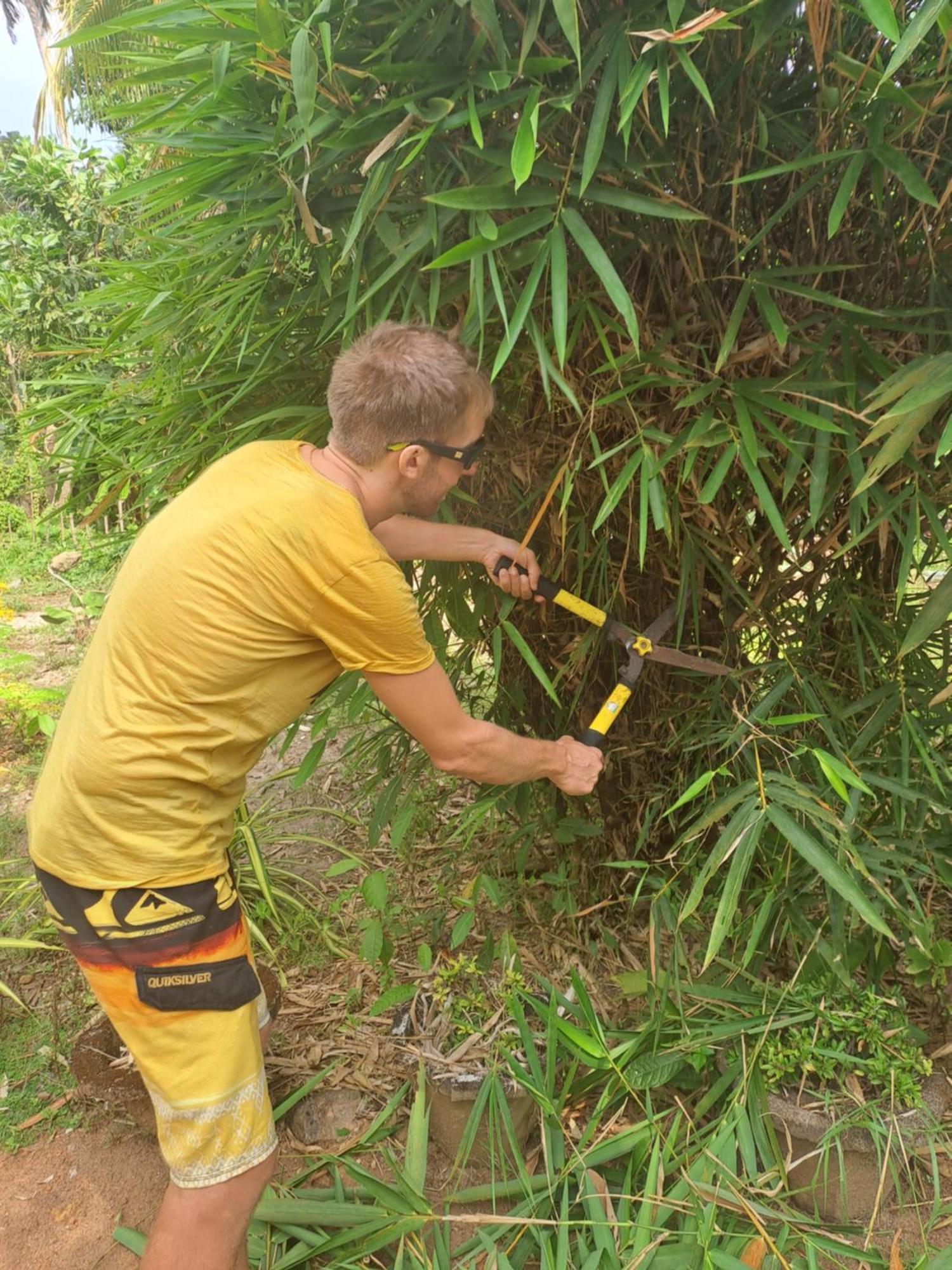 Marari Bethsaida Homestay Shertallai Oda fotoğraf