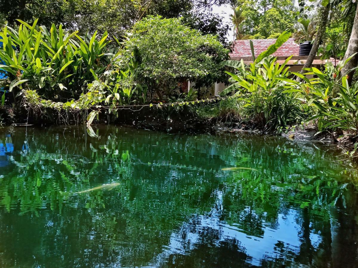 Marari Bethsaida Homestay Shertallai Dış mekan fotoğraf